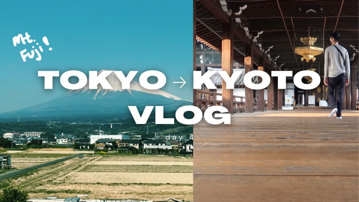 kyoto japan vlog 🇯🇵 | tokyo to kyoto bullet train (shinkansen), mt. fuji, exploring temples (day 4) kyoto japan vlog 🇯🇵 | tokyo to kyoto bullet train (shinkansen), mt. fuji, exploring temples (day 4)