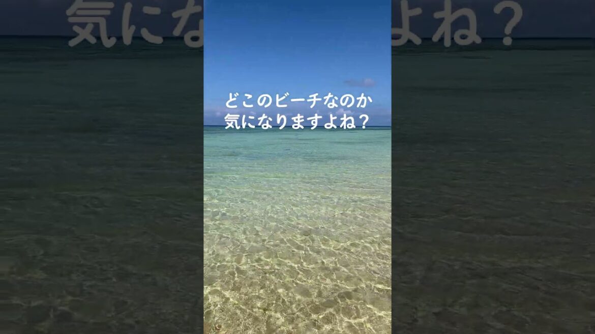 【石垣島】誰もいない超穴場ビーチを教えます！＃shorts＃石垣島