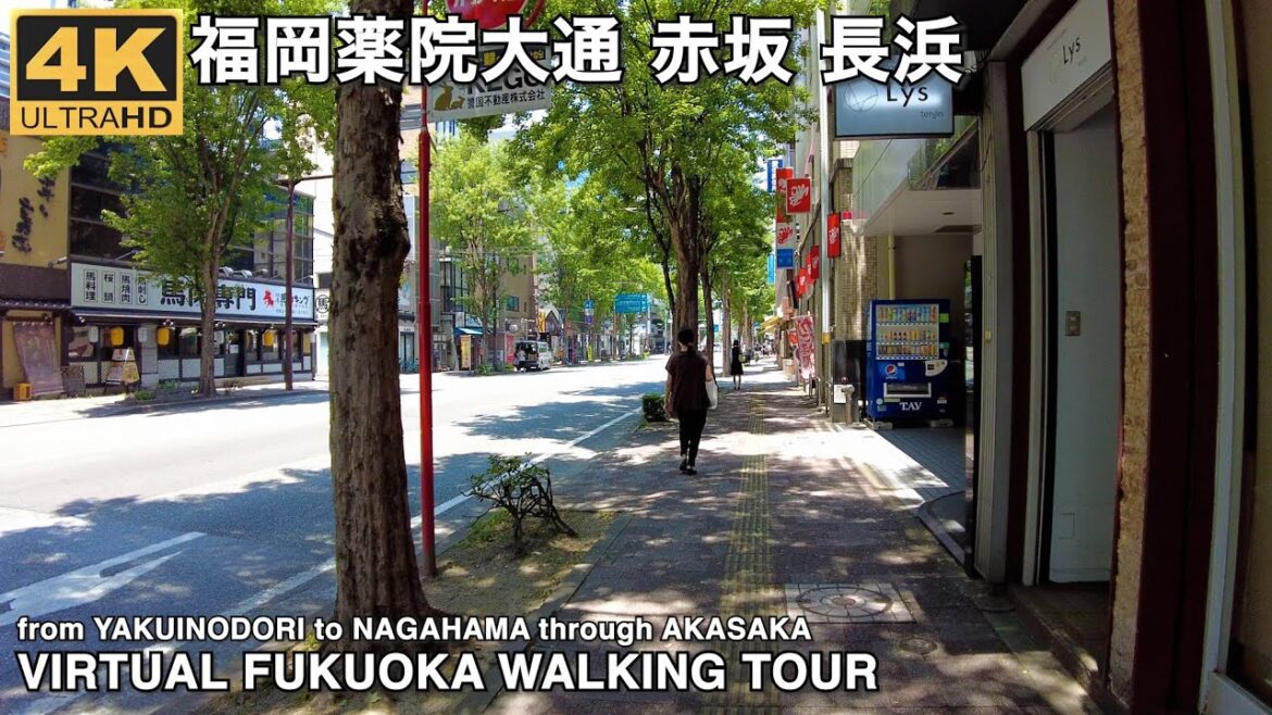 福岡薬院大通から警固、赤坂を通って長浜へ4k virtual Fukuoka walking tour from Yakuinodori to Nagahama through Akasaka