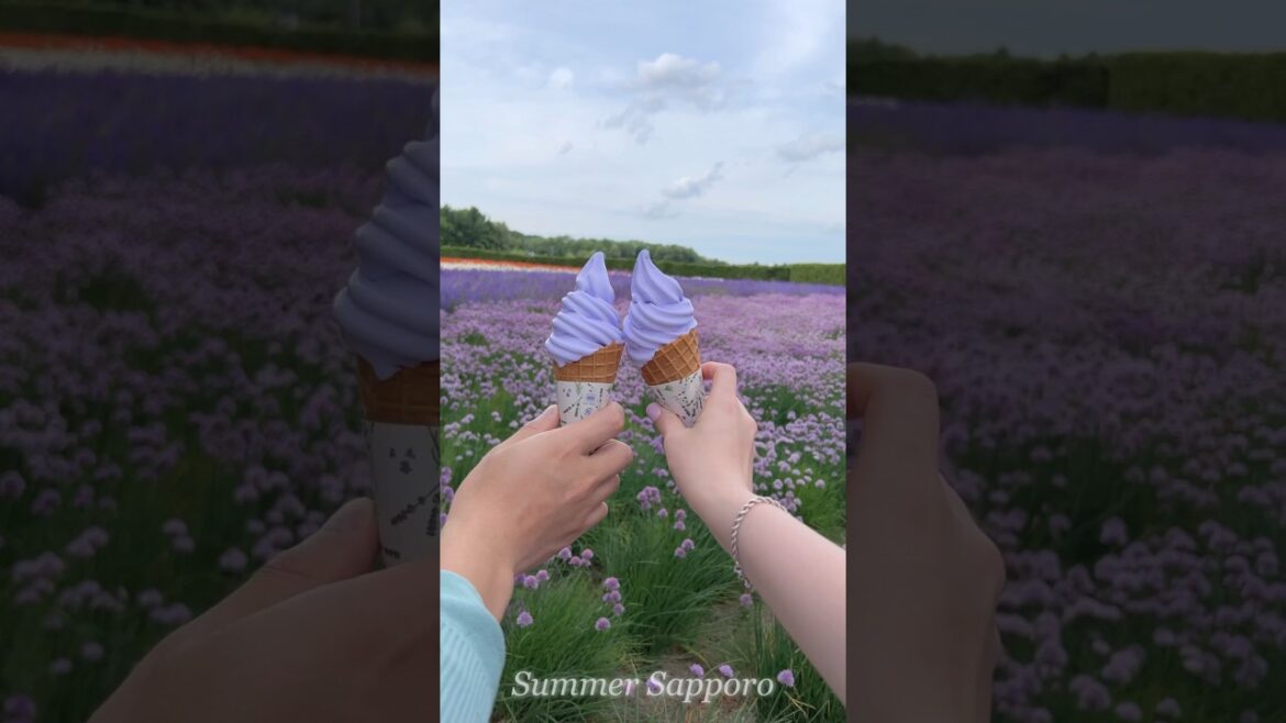 여름 삿포로 여행⠀