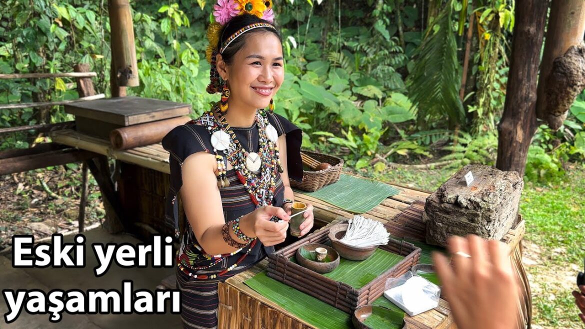 Kota Kinabalu ve Sandakan Adası - Malezya'ya Bakışınız Değişecek!