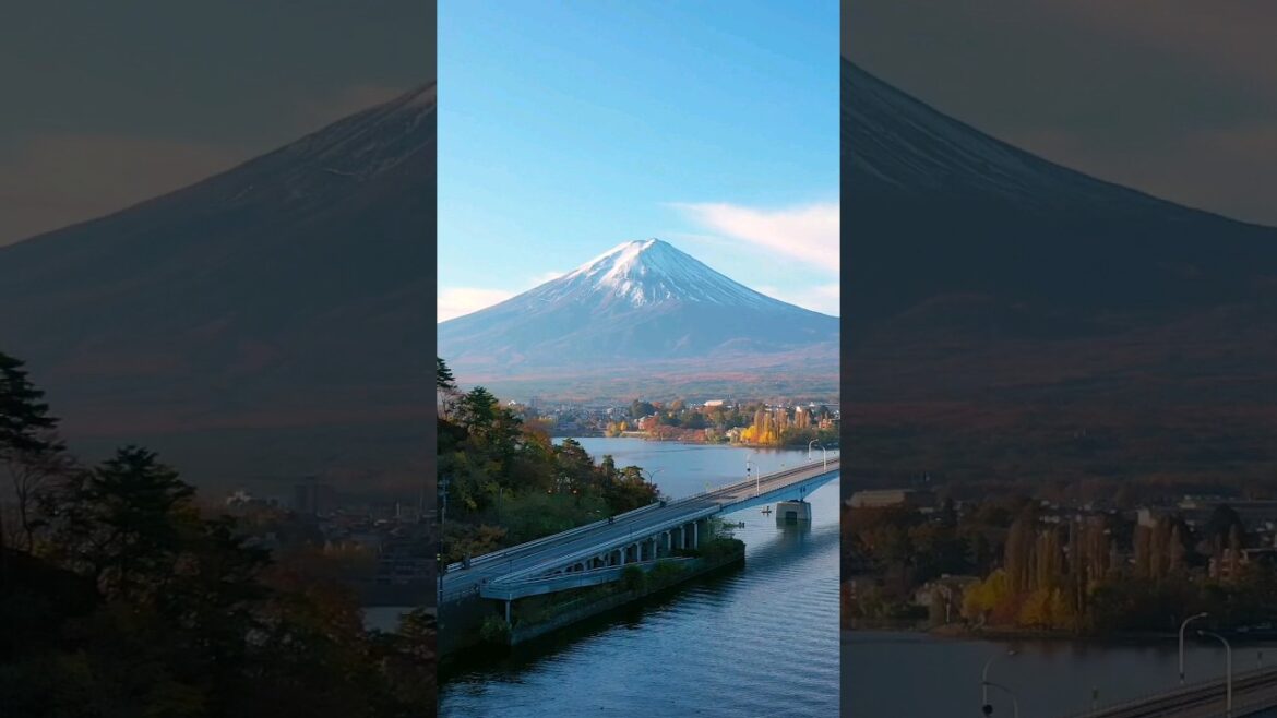 Japan #shorts #beautiful #travel #tokyo #kyoto #nippon #explore