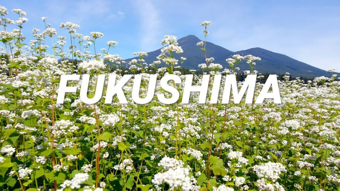 Fukushima ~Gourmet~ Fukushima ~Gourmet~