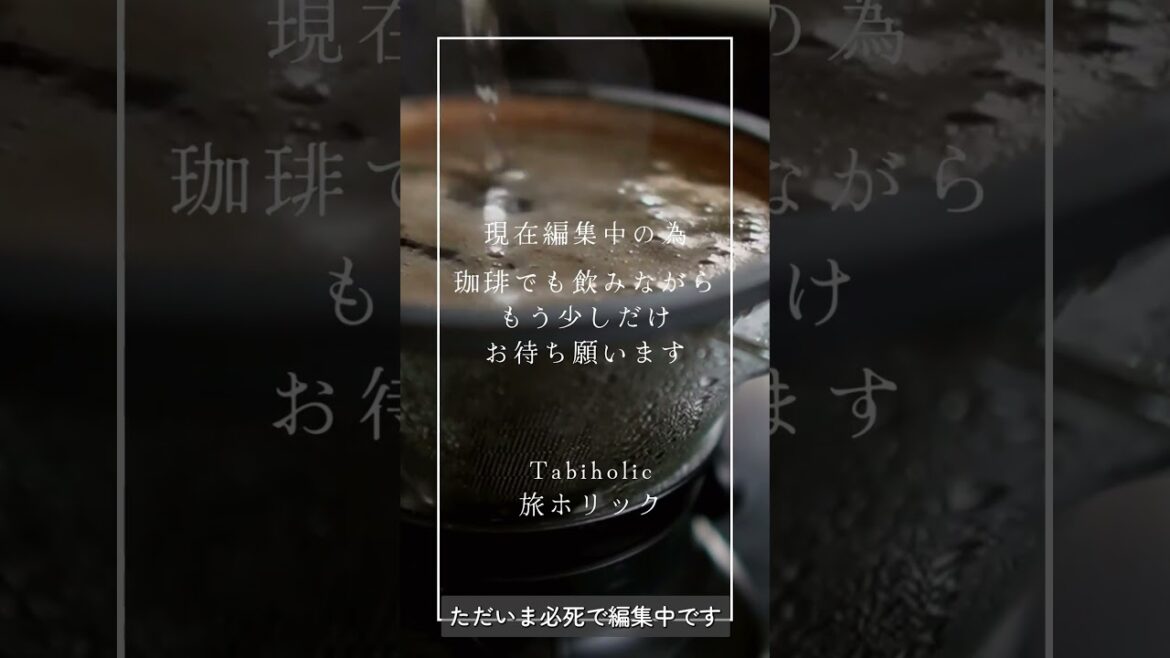 『2023大河ドラマ旅』現在制作中！#shorts  #どうする家康 #聖地巡礼行ってきた #旅行vlog #japantravel