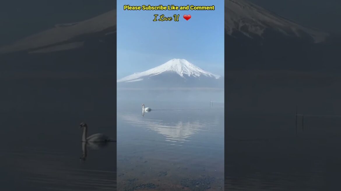 Liburan ke gunung fuji #shorts