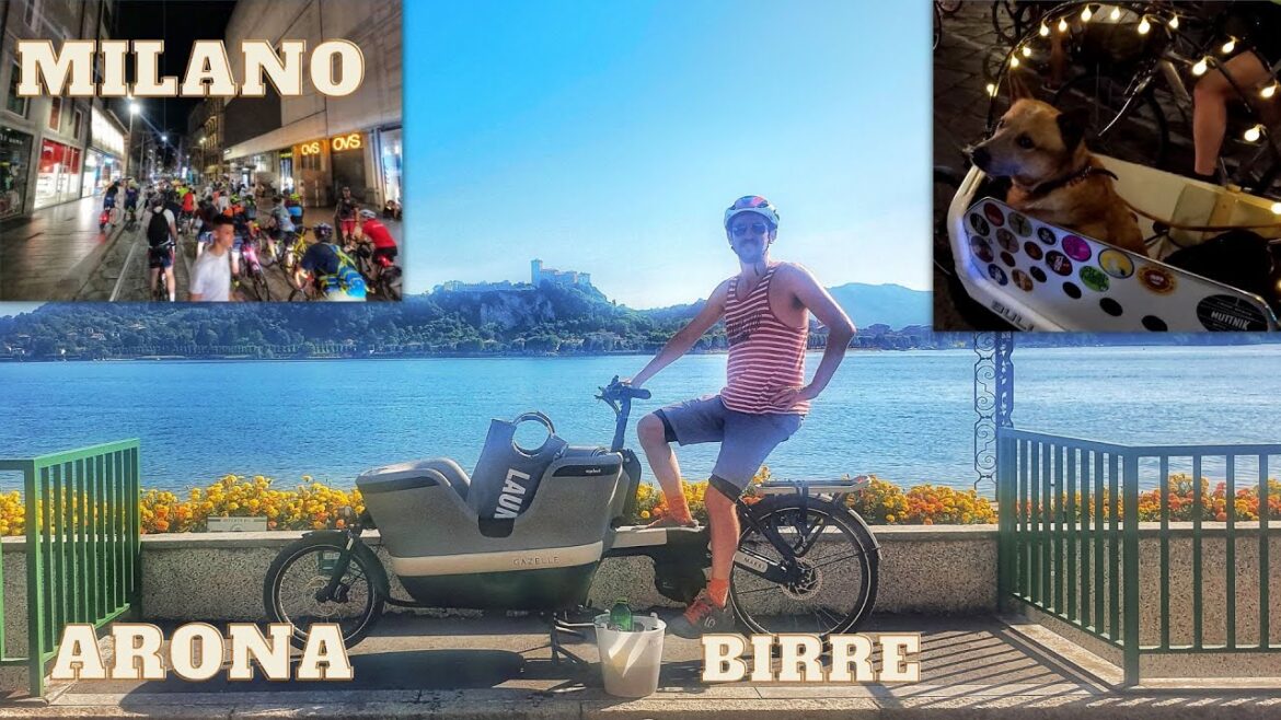 Ho fatto la Bikenight in Cargobike..e un cane per amico ! #milano #bikenight