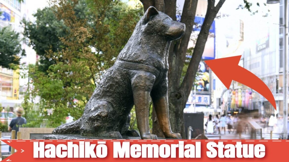 Hachikō Memorial Statue Shibuya Tokyo Japan Walking Tour