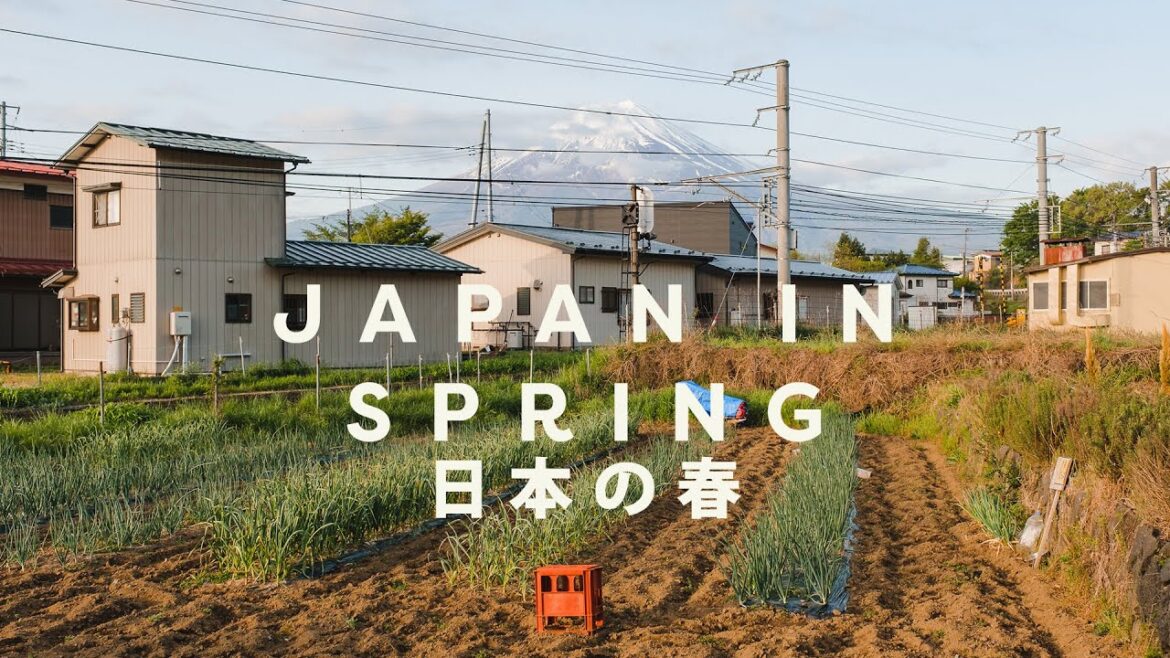 Japan in Spring with the X100V