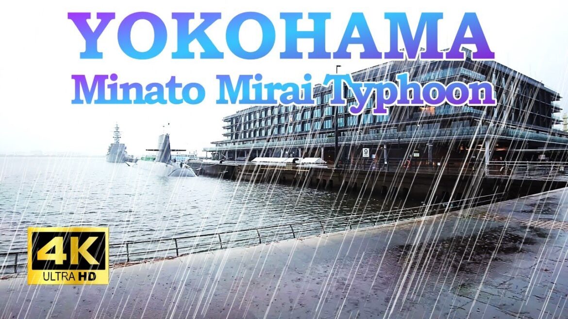 【4K🇯🇵】Yokohama Port Opening Festival 2023 Fireworks Walks Through Typhoon that Forced Cancellation 【4K🇯🇵】Yokohama Port Opening Festival 2023 Fireworks Walks Through Typhoon that Forced Cancellation