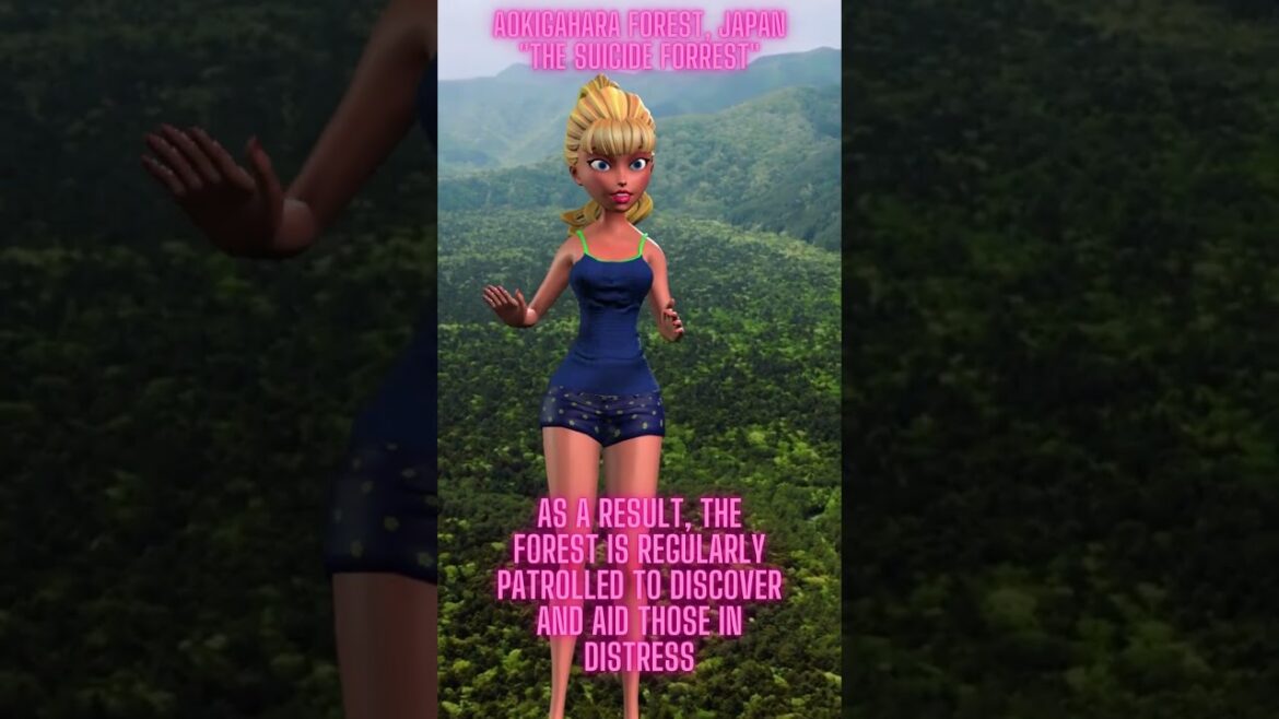 Aokigahara Forest - The Suicide Forrest - A Beautiful and Haunting Place known as "The Sea of Trees"