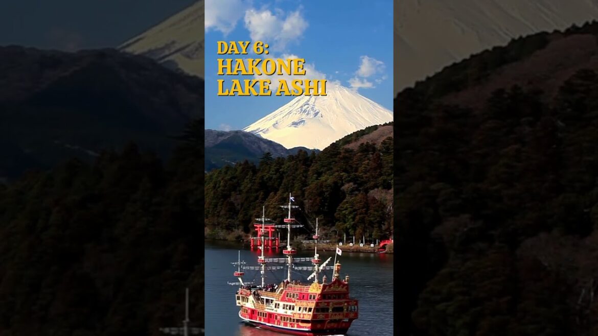 Hakone with JR Pass: Ropeway, Onsen & Scenic Lake Ashi 🌸🚂