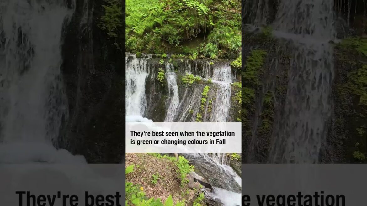 The White String Waterfalls of Japan