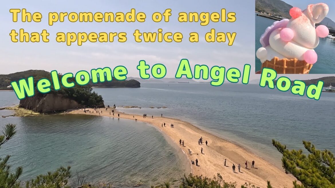 【Japan】【Shodoshima】Welcome to Angel Road 【Japan】【Shodoshima】Welcome to Angel Road