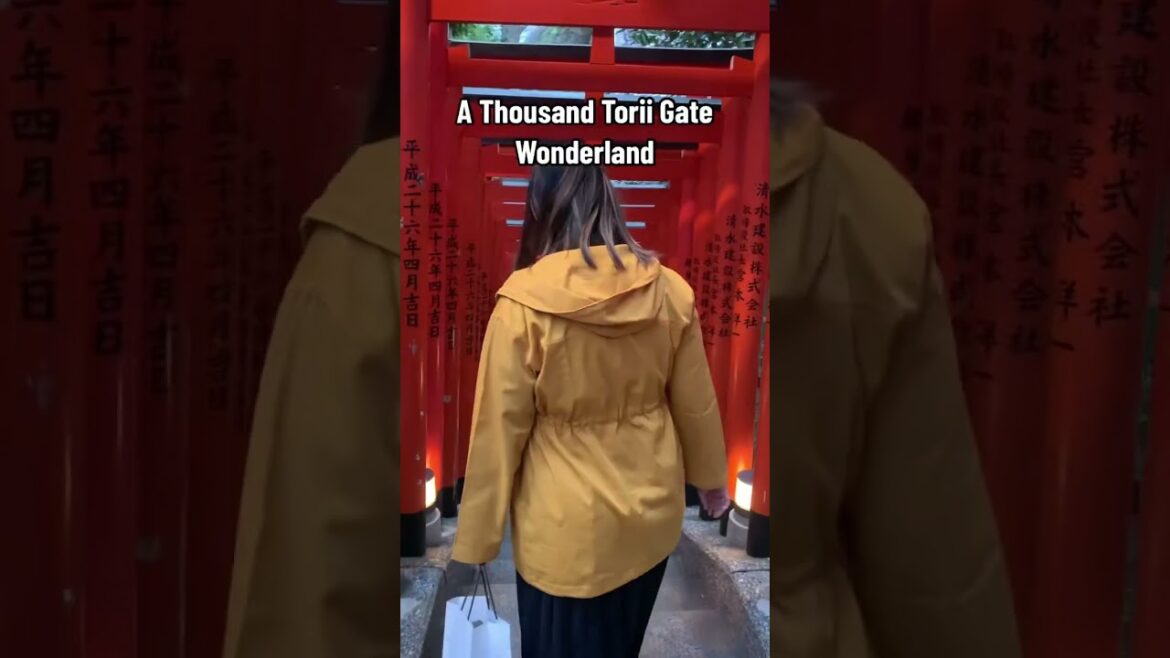 Exploring the Hie Jinja Shrine and its 1000 Torii Gates Exploring the Hie Jinja Shrine and its 1000 Torii Gates