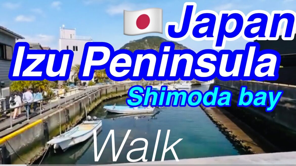 🇯🇵Enjoy Japan!Travel and love more!/Shimoda Bay Walking (2)/Wakanoura promenade, Nabetahama Beach/43 🇯🇵Enjoy Japan!Travel and love more!/Shimoda Bay Walking (2)/Wakanoura promenade, Nabetahama Beach/43