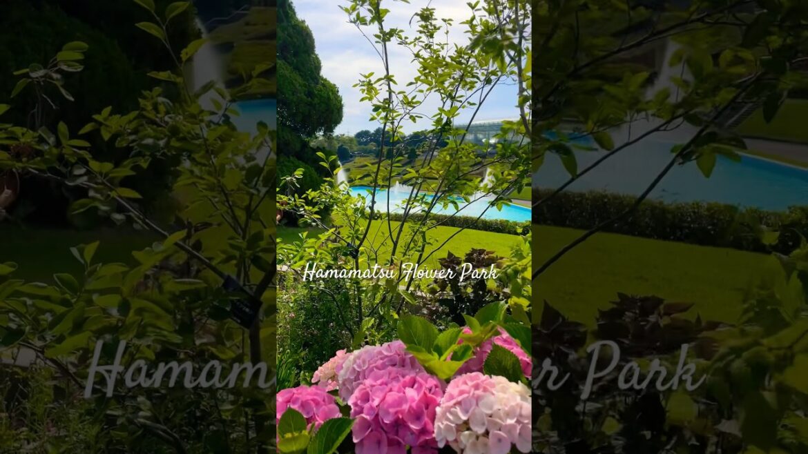 Hamamatsu Flower Park | Travel Japan  #hamamatsu  #shizuoka #flowers #diytravel  #cinematic #travel