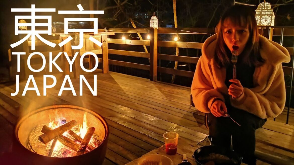 Healing travel2019；関東近郊の冬旅行を一週間堪能する