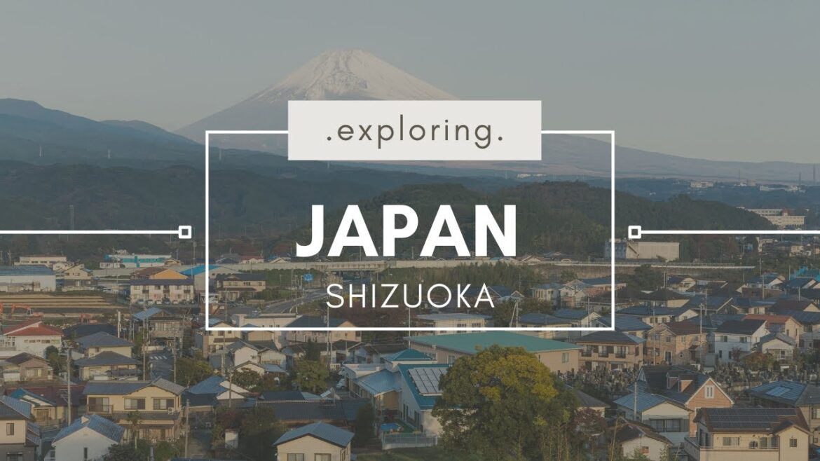 Japan Travel Vlog 6 | Mother's Day | Tokyo Shoes | Daiso | Mega Don Quijote | Let's Dye Our Hair!