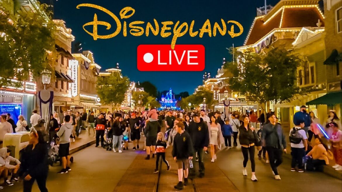 🔴 LIVE: 17K Sub Celebration at Disneyland 🎉