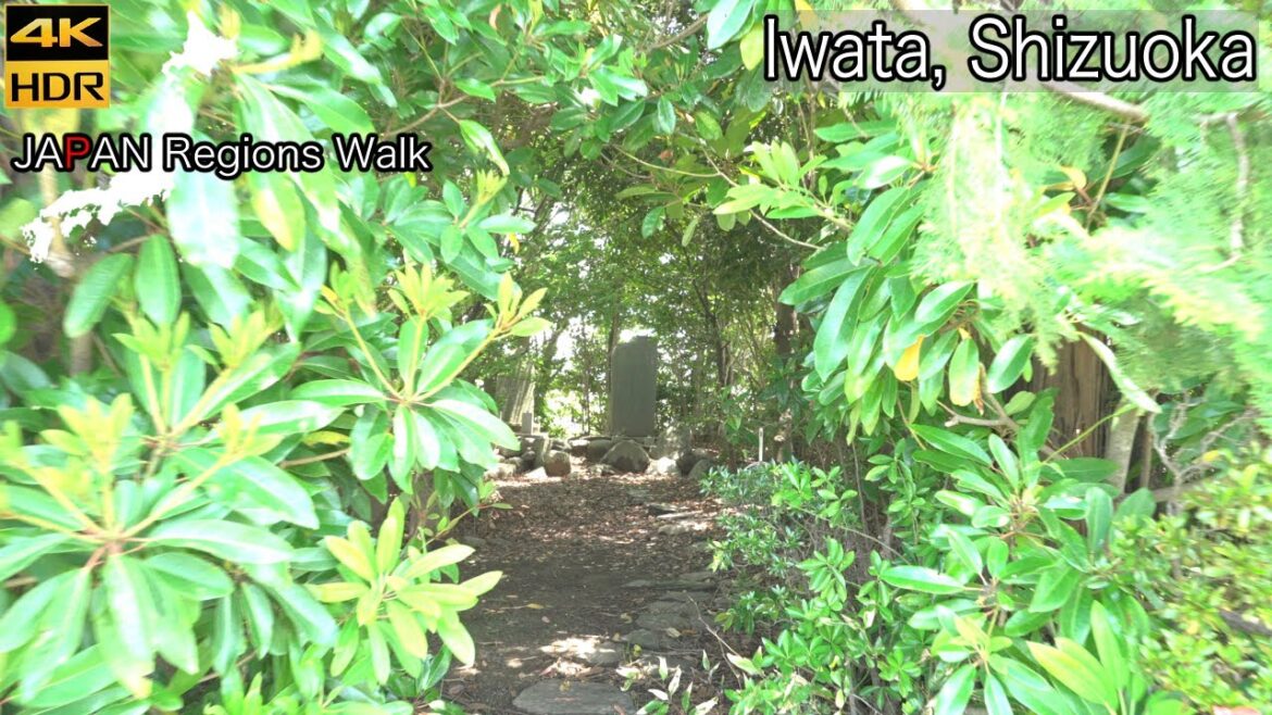 Toyodachō Station South Side | Iwata, Shizuoka | 4K HDR | 静岡県磐田市