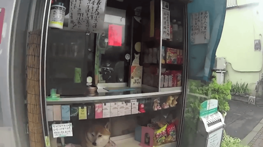This dog owns a shop in Tokyo