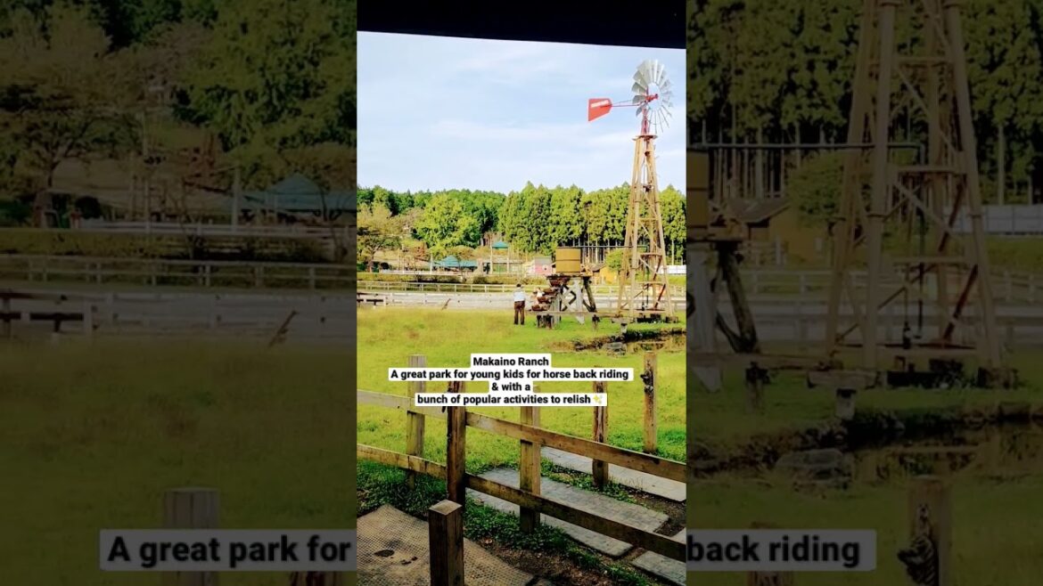 #farmresort #worldtourist #travel #japan #nature #viral #travelvlog #japanvlog #kidtripadvisor #farmresort #worldtourist #travel #japan #nature #viral #travelvlog #japanvlog #kidtripadvisor