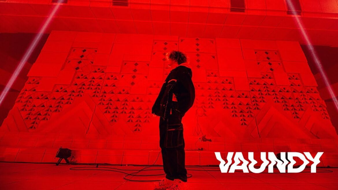 VAUNDY - Museum Live (at WOWOW)