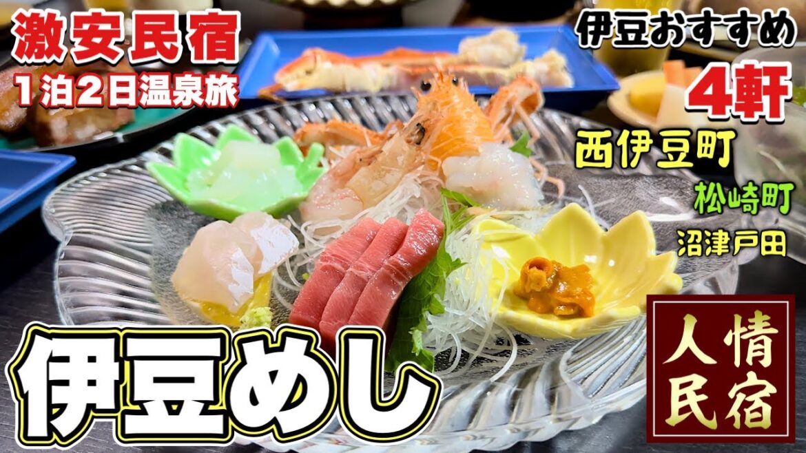 【伊豆縦断旅行】最強モデルコース！おすすめ4軒から超豪華磯料理並ぶ激安民宿へ【飯テロ】西伊豆町松崎町/沼津戸田温泉 #3