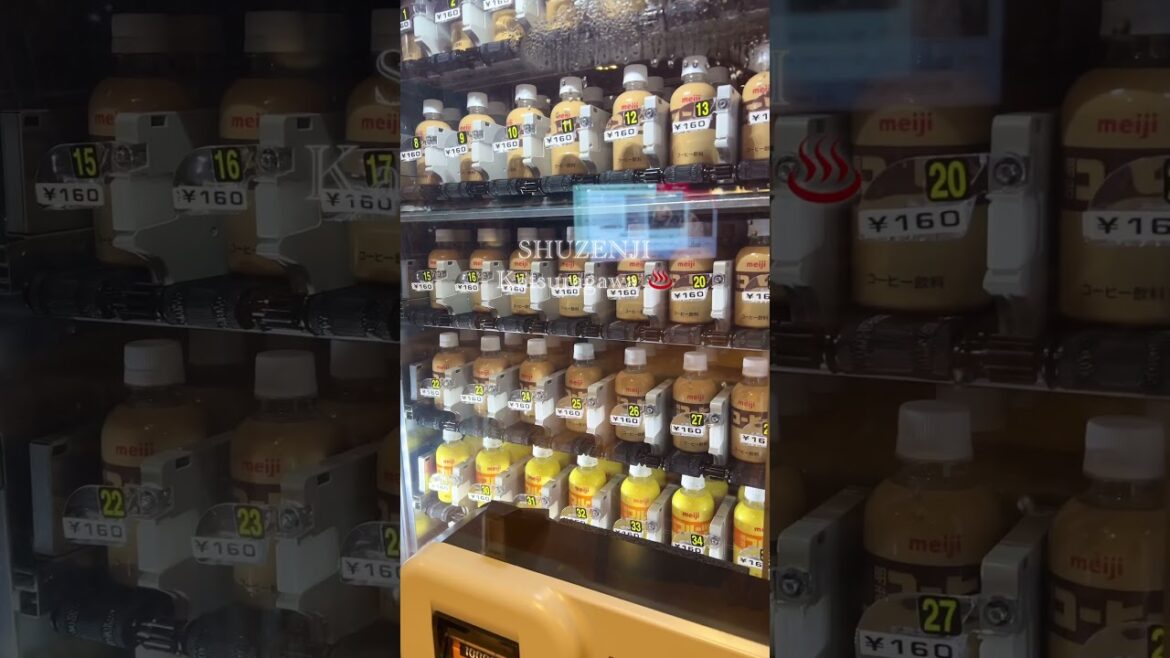 【温泉】Izu Shuzenji trip / 湯めぐりの宿、桂川(修善寺) #shorts