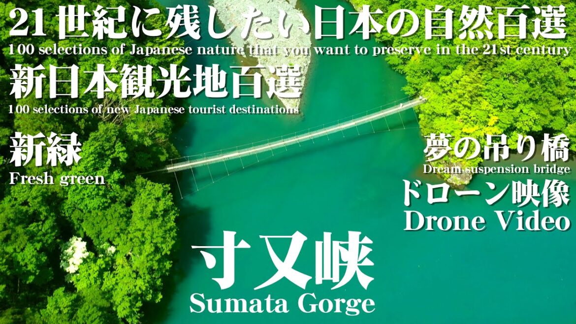 寸又峡 4K ドローン映像 Sumata Gorge Drone Video