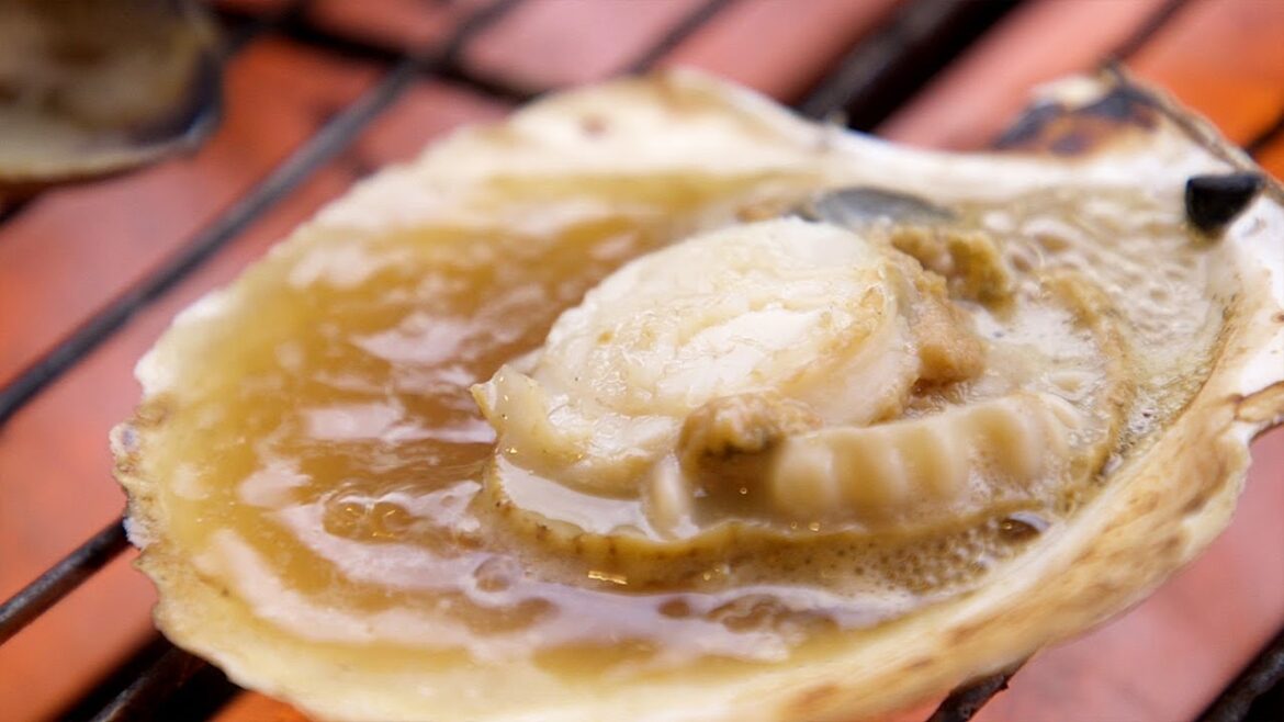 [ 熱海：居酒屋 ]貴美の浜焼き