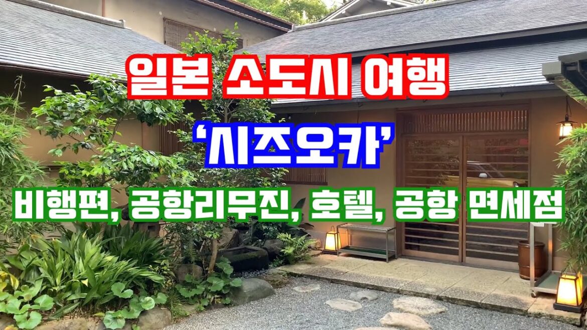 일본 소도시 시즈오카! 공항에서 시내? 호텔? 공항 면세점? 일본 소도시 시즈오카! 공항에서 시내? 호텔? 공항 면세점?