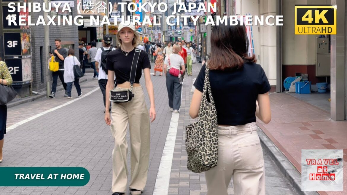 4k hdr japan travel | Walk in Shibuya (渋谷) Tokyo japan | Relaxing Natural City ambience 4k hdr japan travel | Walk in Shibuya (渋谷) Tokyo japan | Relaxing Natural City ambience