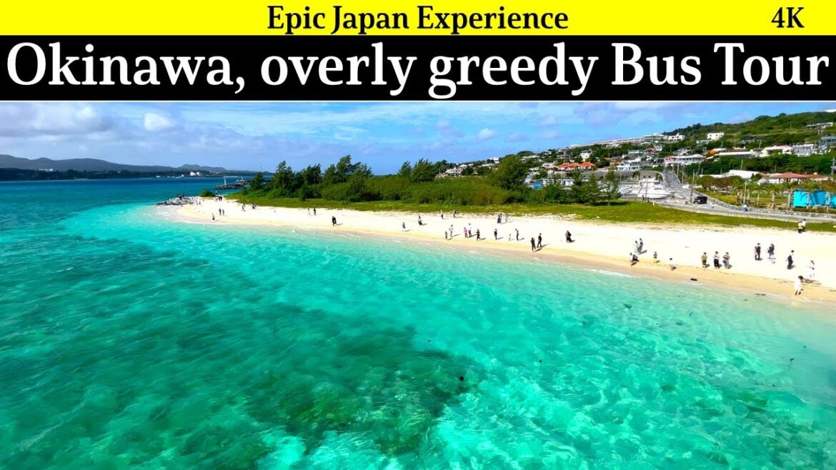4K Japan travel: Bust tour in Okinawa, to the epic beach and pinapplized park!