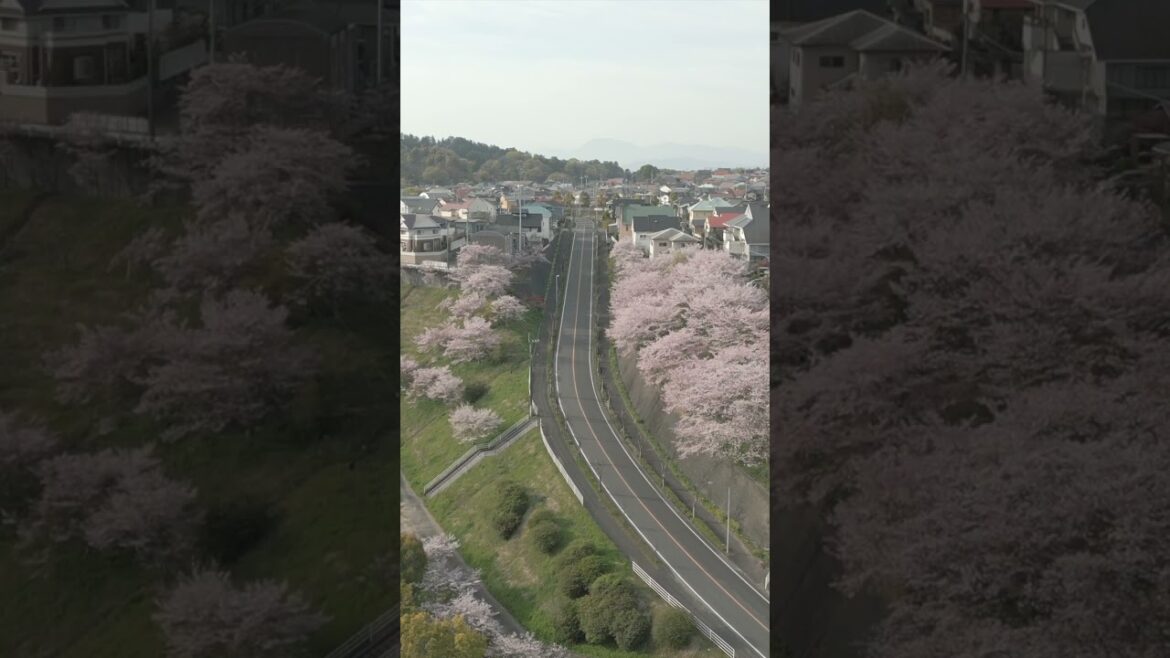 Drone x Japan - Ehime #japan #drone #shorts