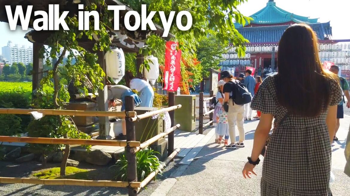 Tokyo Walking Tour - Ueno Park. Pond and early summer sunlight♪ (June 2023)