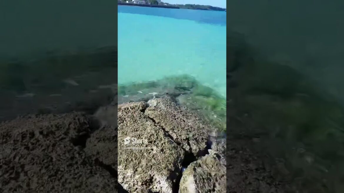 That water though #okinawa #japan #travel #lifestyle #kawaii