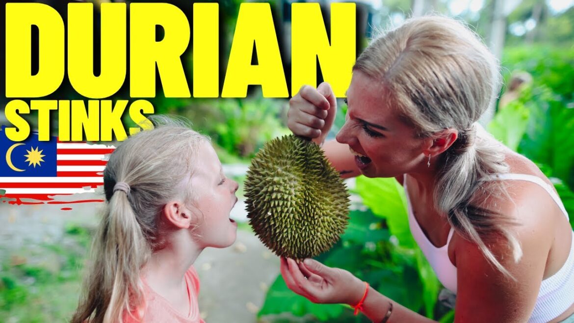 We were SHOCKED when trying DURIAN FRUIT in PENANG MALAYSIA! We were SHOCKED when trying DURIAN FRUIT in PENANG MALAYSIA!