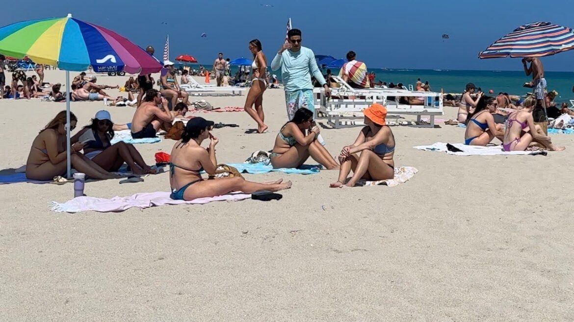 Nice day at Miami beach walk | beach walk 4k Nice day at Miami beach walk | beach walk 4k