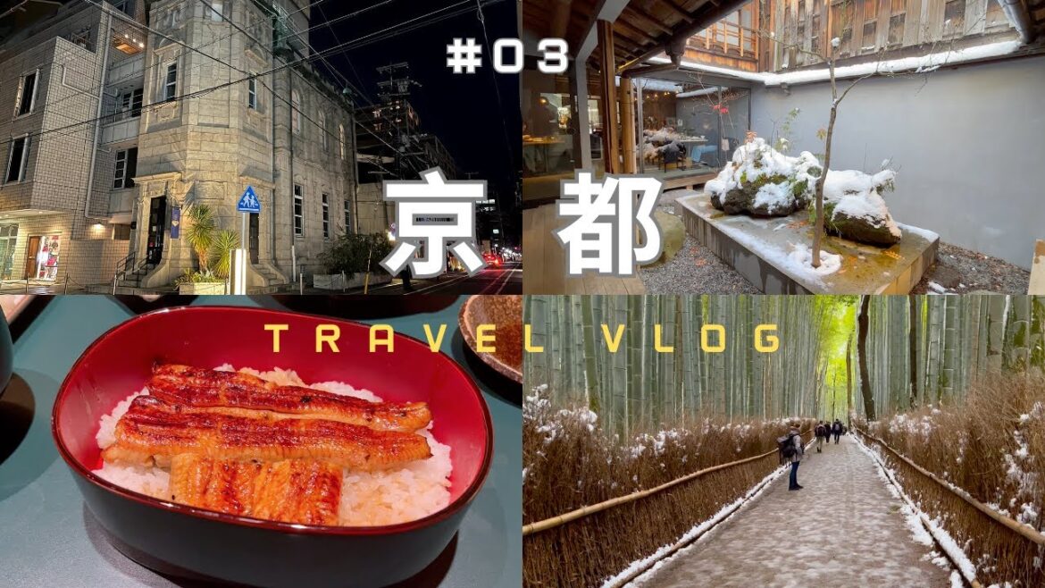 🇯🇵2023 KYOTO京都自由行10天9夜EP3 ｜小川咖啡・堺町店｜嵐山·雪·竹林小徑｜eX CAFE｜廣川鰻魚｜渡月橋｜伊織·今治毛巾｜TSUGU 京都三条 THE SHARE HOTELS