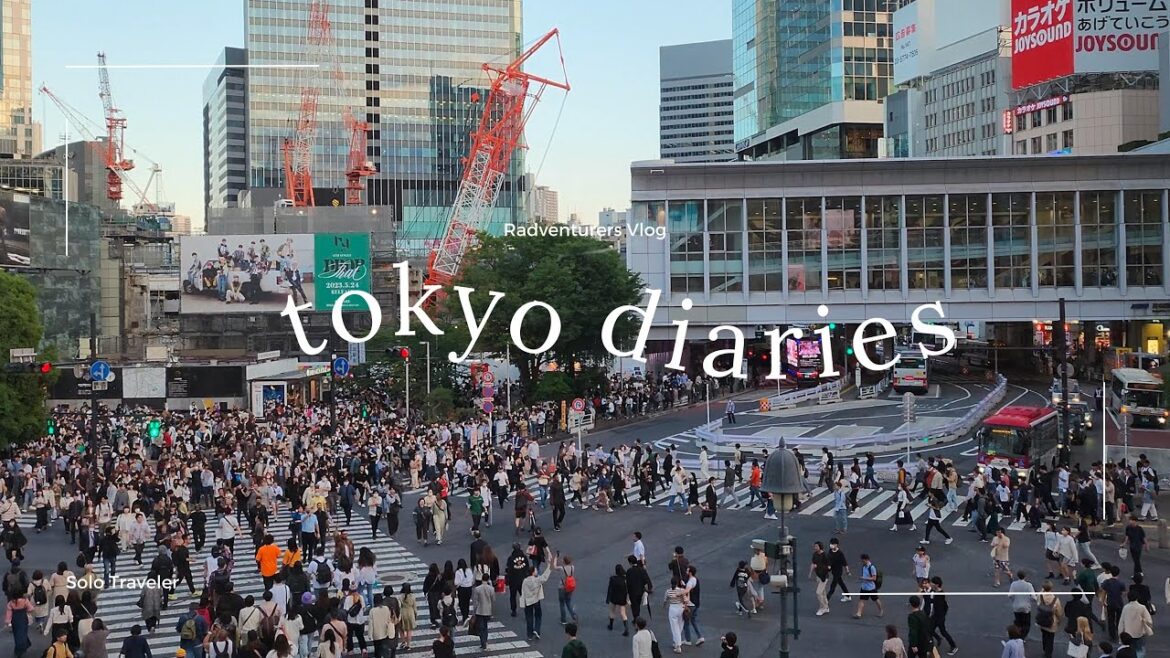 Exploring Tokyo, Japan 2023 | Shibuya, Asakusa, teamLab Planets, & Day Trips to Kamakura & Yokohama