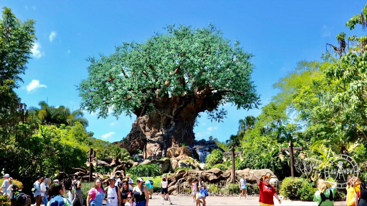 Disney's Animal Kingdom 2023 Tour / Sights & Sounds in 4K | Walt Disney World Florida June 2023