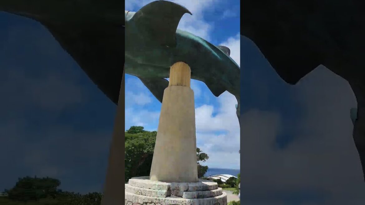 来たぜ美ら海水族館！