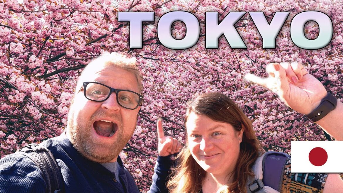 In Search of Sakura: Did we miss Tokyo's Cherry Blossoms?