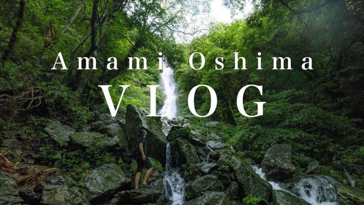 世界遺産 奄美大島 VLOG Amami Oshima,Kagoshima,Japan 世界遺産 奄美大島 VLOG Amami Oshima,Kagoshima,Japan