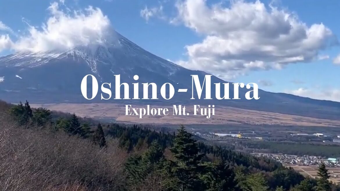 【山梨県・忍野村】絶景スポットで富士山を満喫 【山梨県・忍野村】絶景スポットで富士山を満喫