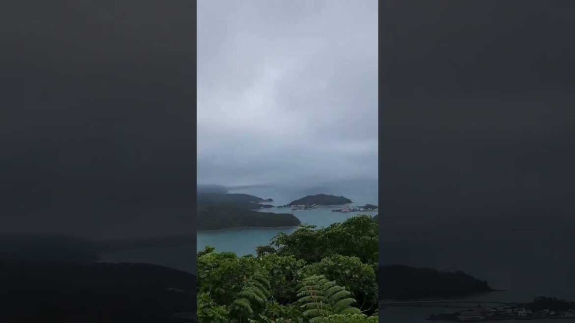 六田原展望台(曇天) #shorts