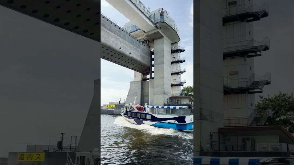 と或る沼津の休日 Take a break in Numazu