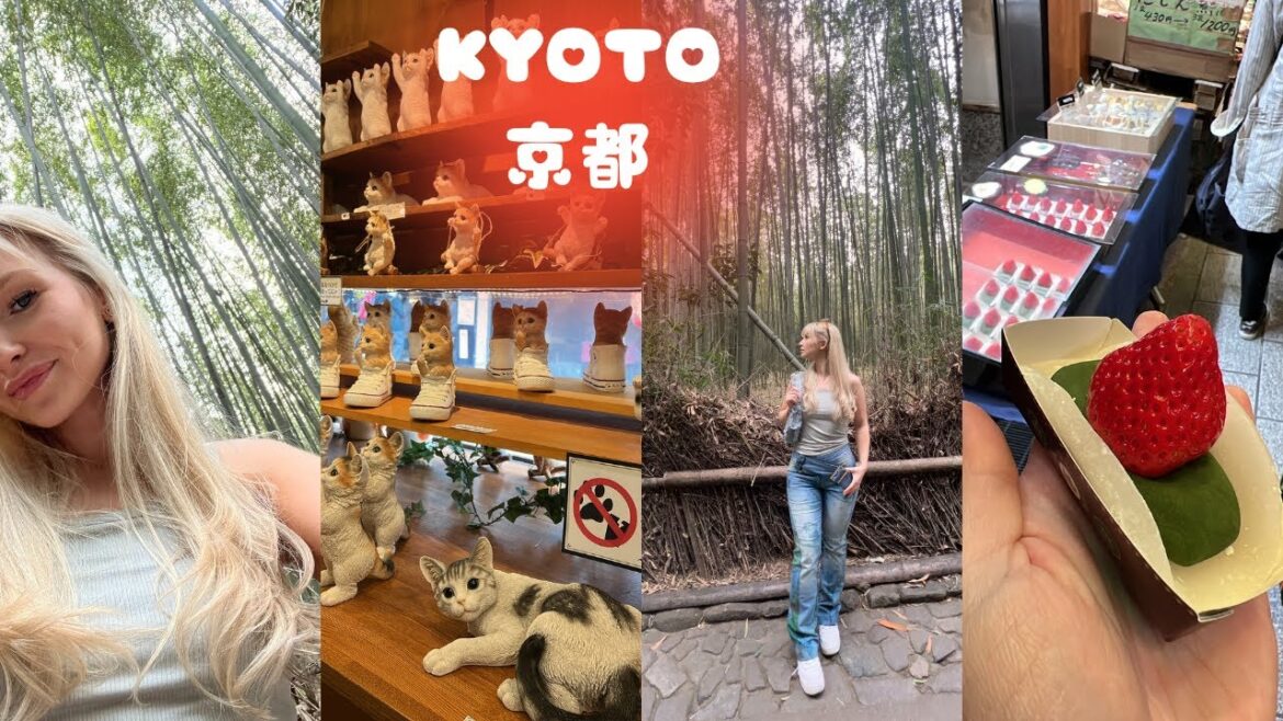 VLOG | Japan π―π΅ | Kyoto | Nishiki Market Foods π€π‘ | Arashiyama Bamboo Forest π | Custom Chopsticks π₯’ VLOG | Japan π―π΅ | Kyoto | Nishiki Market Foods π€π‘ | Arashiyama Bamboo Forest π | Custom Chopsticks π₯’