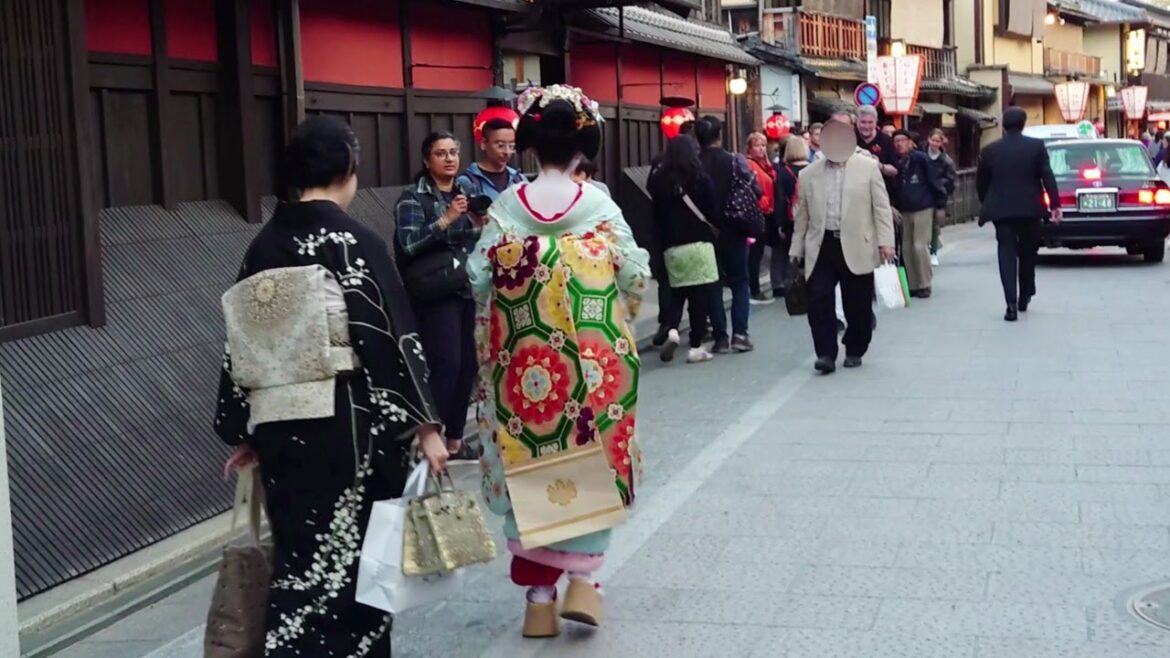 Geisha Walk in Kyoto Gion Hanamikoji | Amazing Beautiful Kimono and Obi 京都、祇園祭直前、花見小路を歩く舞妓さん、感動の着物と帯 Geisha Walk in Kyoto Gion Hanamikoji | Amazing Beautiful Kimono and Obi 京都、祇園祭直前、花見小路を歩く舞妓さん、感動の着物と帯